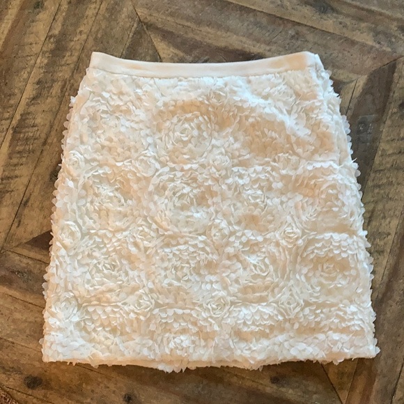 LOFT skirt - Picture 1 of 4